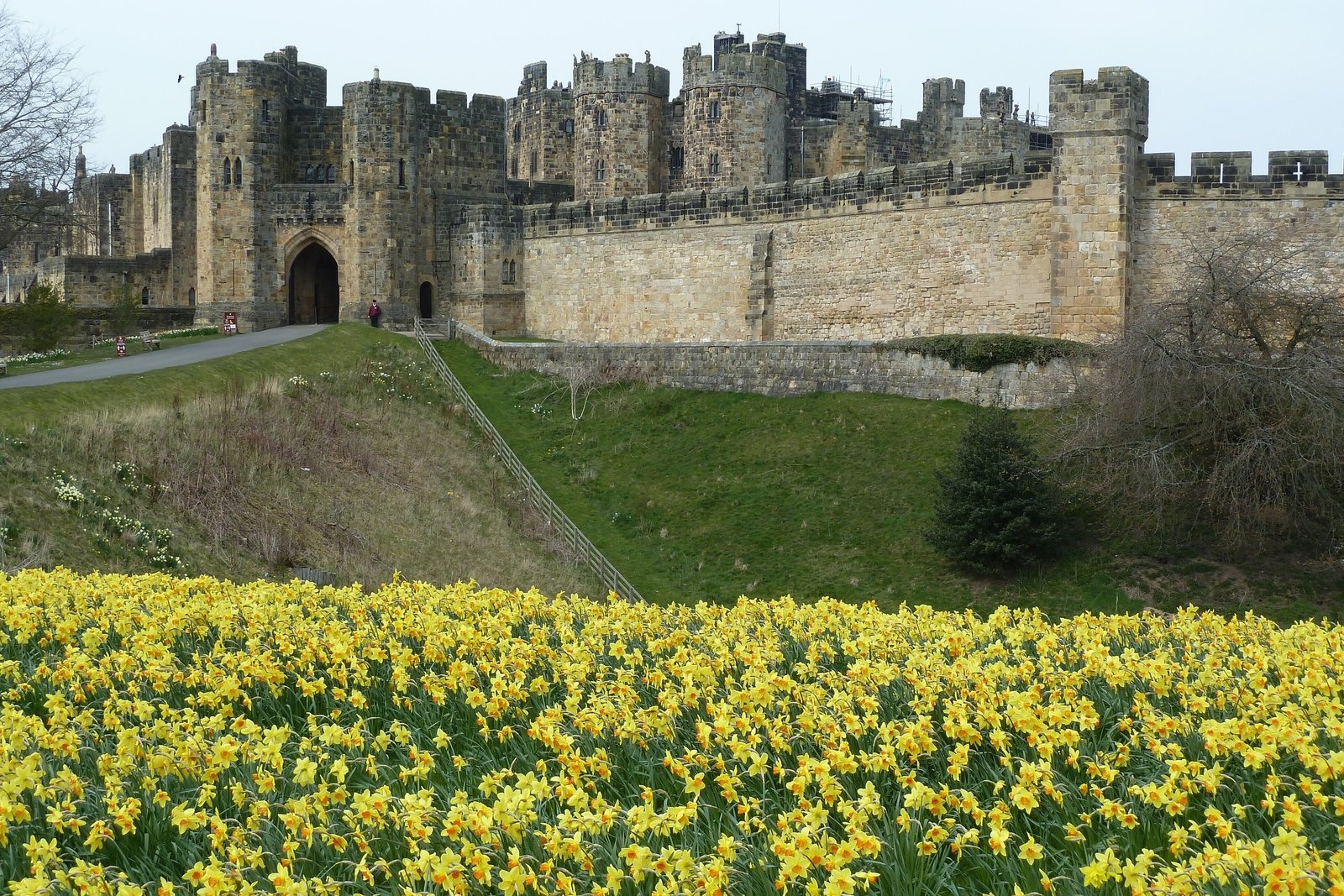 Alnwick — the Percys, Harry Hotspur and the Castle Town
