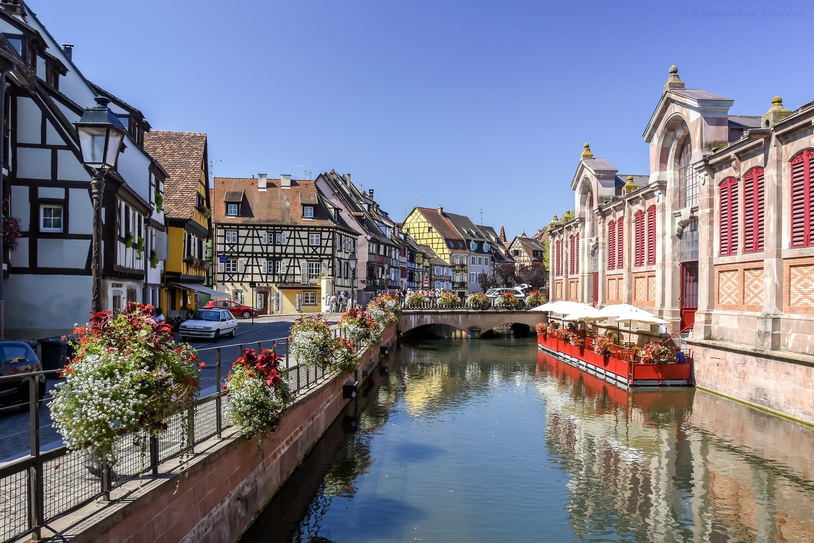 Colmar — the Old Town's Christmas Markets, Petite Venise and the Alsace Tree