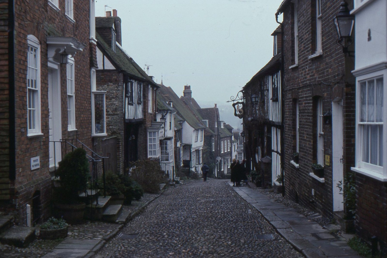 Rye
